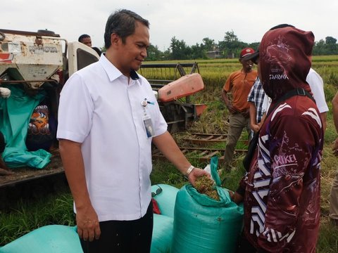 Penyerapan Gabah Beras Dalam Negeri Bulog Mencapai 30 Ribu Ton Setara GKP Perhari