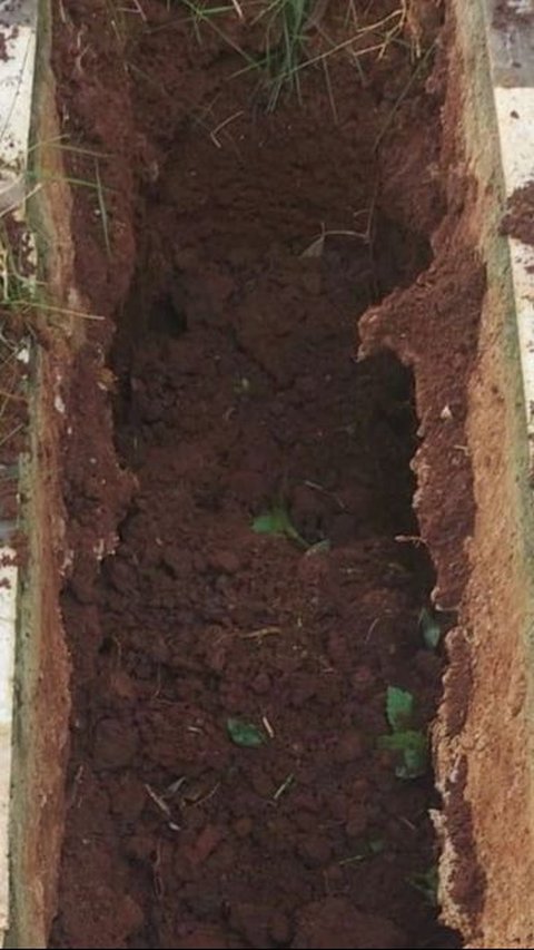 Viral Pria Datangi Makam Neneknya yang Runtuh Usai Dapat Laporan, Temukan Hal ‘Mistis’