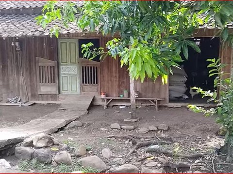 Mengunjungi Kampung Tua di Pelosok Hutan Semarang, Semua Rumah Dibuat dari Kayu Jati
