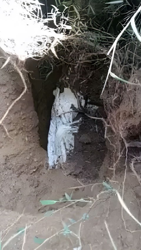 Merinding! Gali Liang Lahad untuk Tetangga, Penggali Kubur Kaget Temukan Jenazah Masih Utuh dan Berbau Wangi Setelah 15 Tahun Dikubur