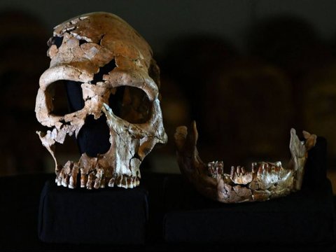 Arkeolog Rekonstruksi Wajah Wanita Neanderthal Berusia 75.000 Tahun, Begini Parasnya