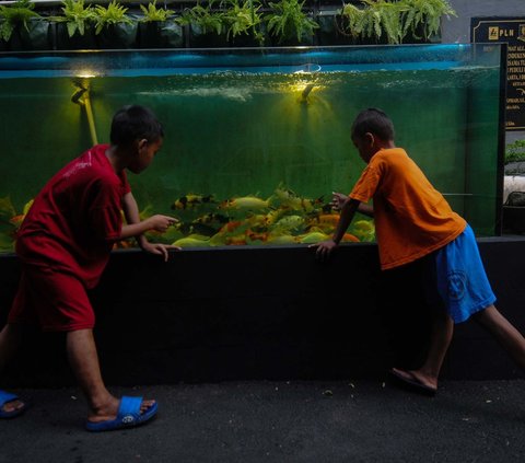 Selain kolam gizi, warga juga mengembangkan tanaman akuaponik, tanaman produktif, tanaman anggur, tanaman hias dan tanaman gantung.