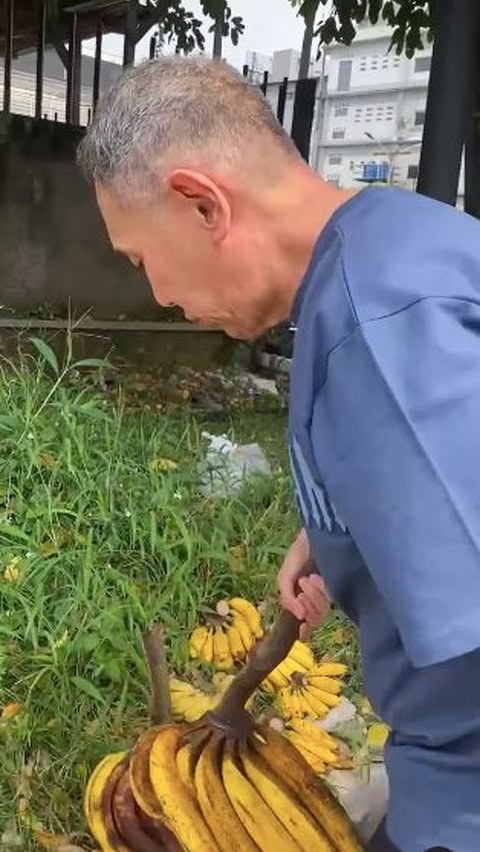 Kakek-kakek Penjual Pisang di Pinggir Jalan Tersenyum Saat Bos Jalan Tol Jusuf Hamka Menawarnya