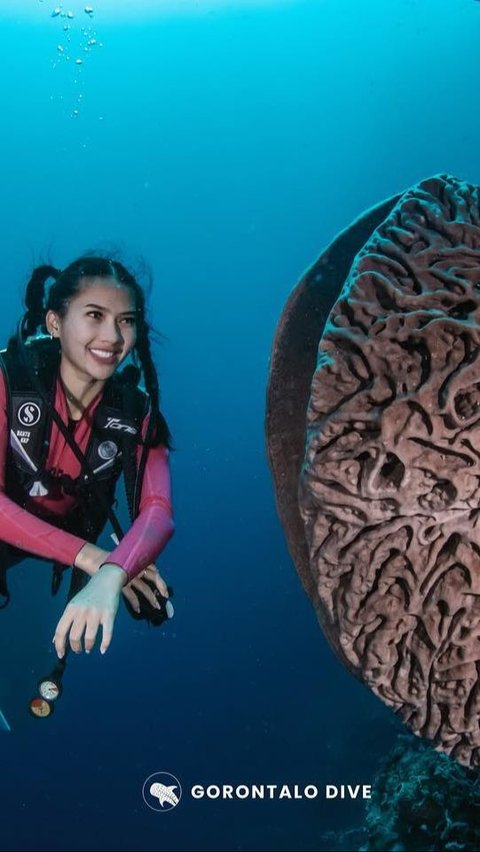 Soraya Rasyid diketahui sudah cukup lama menekuni diving dan free diving