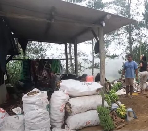 Cantik Berambut Panjang, Gadis Desa Ini Sukses Menjadi Tengkulak di Kampung Terpencil