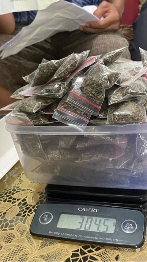 Pesan Ganja Lewat Jasa Ekspedisi, Ternyata Paketnya Dibuntuti Bea Cukai dan Polisi