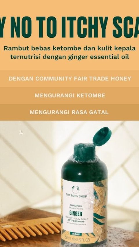 Rekomendasi sampo terbaik untuk mengatasi ketombe.