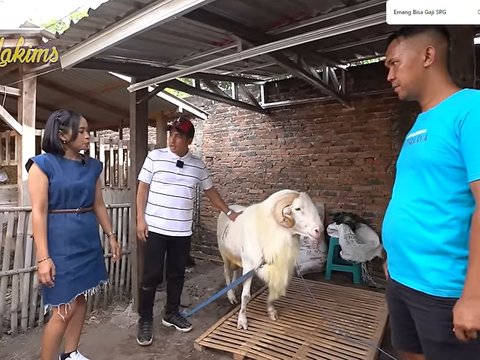 Irfan Hakim Melongo Mendengar Cerita Pedagang Kambing Pakai Jasa SPG Cantik 'Emang Bisa Gaji SPG'