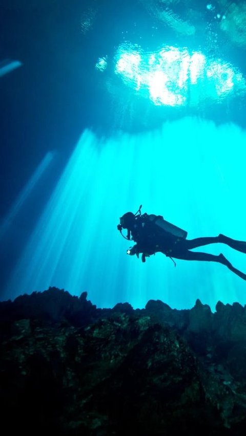 1.	Bangsring Underwater