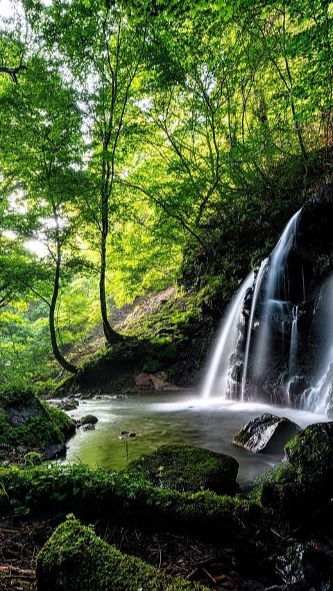 10.	Taman Nasional Baluran