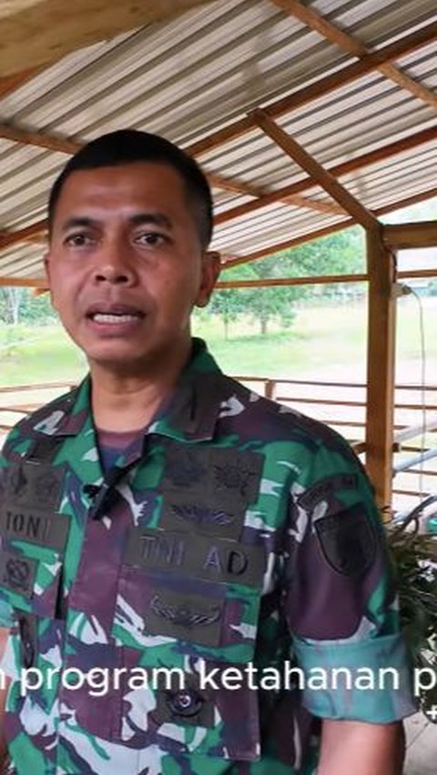 Prajurit TNI AD Brigif 24 Berbondong-bondong Beternak Kambing, ini Alasannya