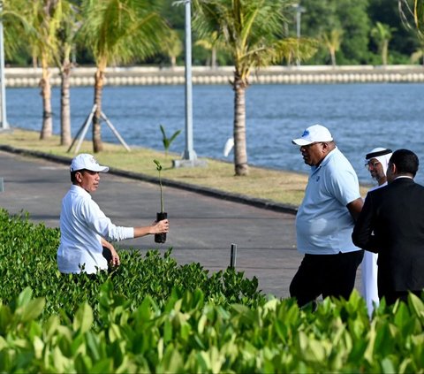 FOTO: Momen Jokowi Jadi Fotografer Dadakan untuk Delegasi KTT World Water Forum di Hutan Mangrove Tahura Bali