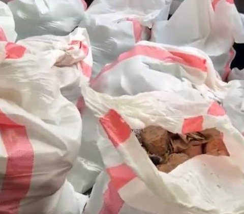 Viral! Appearance of Paper Money Trash in a Bag Worth Rp1.5 Billion Thrown Away Just Like That