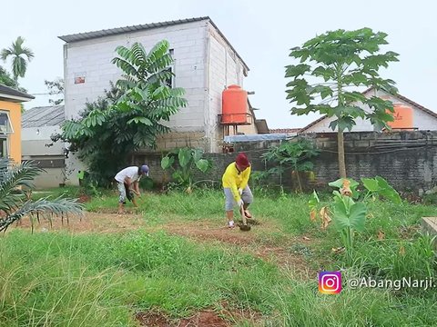 Gagal Nyaleg, Narji Kembali Bertani Memanfaatkan Lahan yang Kosong