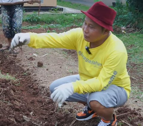 Gagal Nyaleg, Narji Kembali Bertani Memanfaatkan Lahan yang Kosong