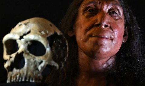 Ilmuwan Jelaskan Perbedaan Homo Sapiens dengan Neanderthal, Siapa yang Paling Mirip Manusia Modern?