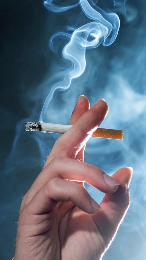 17 Zat Berbahaya dan Mematikan pada Rokok, Wajib Baca<br>
