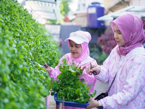 BRInita, Kelompok Dasawisma Pisang di Palembang Sulap TPS Liar Jadi Urban Farming Bernilai Ekonomis