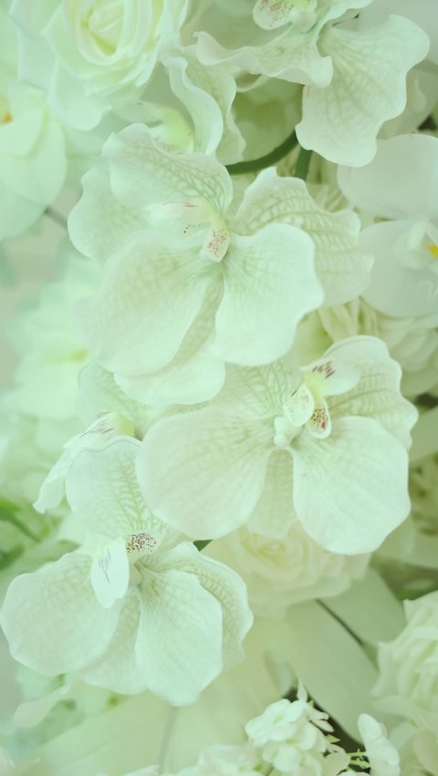 It can be seen in his upload, the event is adorned with very luxurious white flowers.