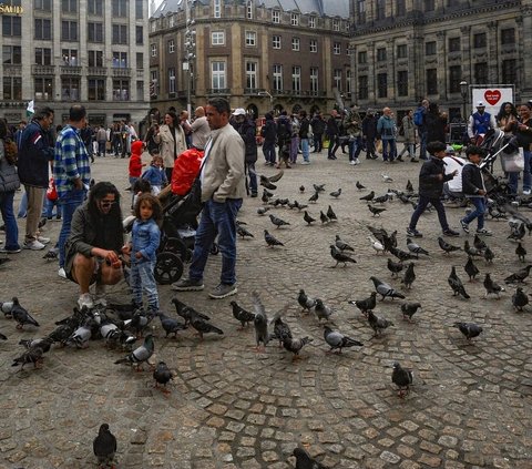 Berdasarkan penelitian sebelumnya yang telah dilakukan universitas Utrecht mencatat pada 2021 bahwa Amsterdam berada di puncak daftar dengan 190 merpati per kilometer persegi, diikuti oleh Rotterdam dengan 85 merpati untuk setiap satu kilometer persegi wilayahnya. Foto: merdeka.com / Arie Basuki<br>