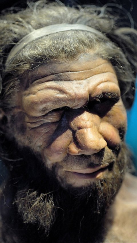 Ilmuwan Ungkap Bahasa yang Diucapkan Manusia Neanderthal 600.000 Tahun Lalu, Beda dengan Manusia Modern