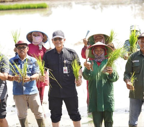 OpLa Rawa Mineral di Banyuasin untuk Percepatan Tanam dan Antisipasi Banjir