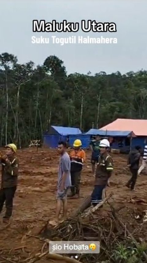 Melihat kedatangan Suku Togutil Halmahera dari dalam hutan, semua pekerja pun langsung mengabadikan momen langka tersebut. <br>