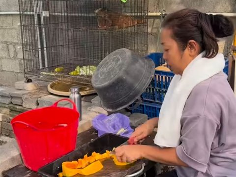 Pakai Celana Pendek dan Kaos Oblong, Begini Gaya Santuy Soimah saat Beri Makan Kura-Kura