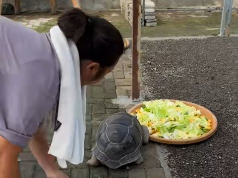 Pakai Celana Pendek dan Kaos Oblong, Begini Gaya Santuy Soimah saat Beri Makan Kura-Kura