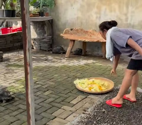 Pakai Celana Pendek dan Kaos Oblong, Begini Gaya Santuy Soimah saat Beri Makan Kura-Kura