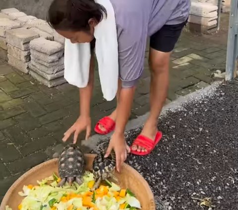 Pakai Celana Pendek dan Kaos Oblong, Begini Gaya Santuy Soimah saat Beri Makan Kura-Kura