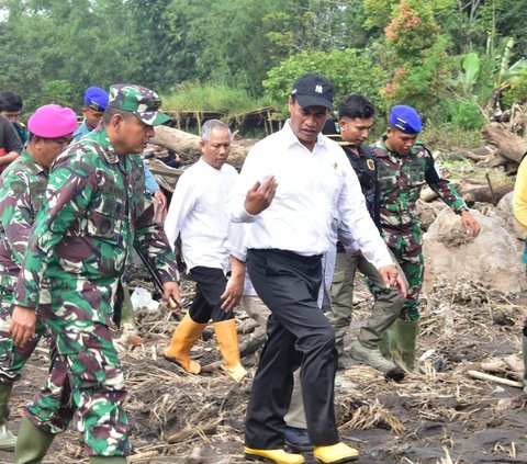 Ditanya Peluang Adiknya Maju Pilgub Sulsel, Ini Jawaban Menteri Pertanian