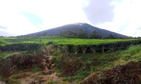 Gunung Api Dempo Pagaralam Erupsi Lagi, Semburkan Abu Sejauh 300 M