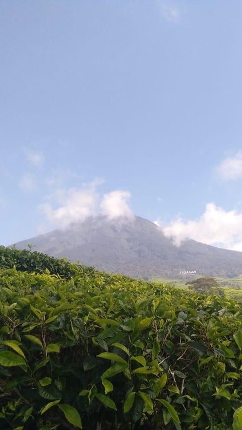 Gunung Api Dempo Pagaralam Erupsi Lagi, Semburkan Abu Sejauh 300 M