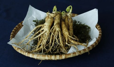 Ginseng