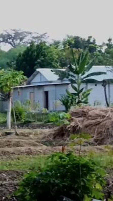 Tersembunyi di Tengah Sawah Pinggir Kuburan, ‘Warung’ Karaoke Ini adalah Warisan Tak Biasa dari Mbah Bo di Nganjuk<br>