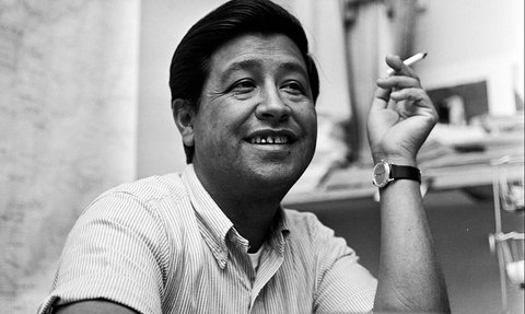 Cesar Chavez Quotes: Inspirational Words for Activists to Ignite ...