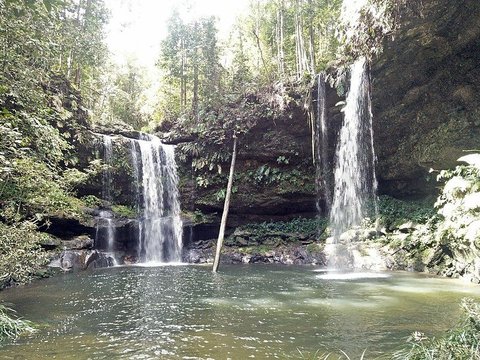 Taman Nasional Bukit Tiga Puluh, Kawasan Konservasi Orang Utan di Provinsi Riau