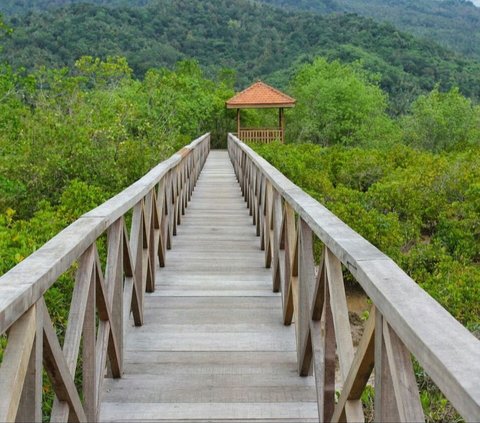 12 Wisata di Trenggalek yang Indah dan Menakjubkan, Cocok untuk Liburan