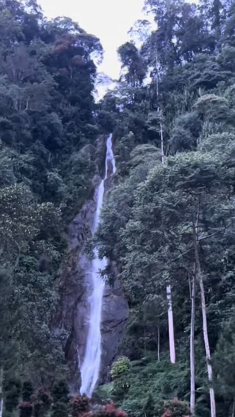 Jadi Hidden Gem di Jonggol, Intip Indahnya Curug Cibeureum yang Hijau dan Dikelilingi Kabut