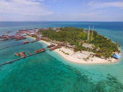 Eksotisme Kepulauan Derawan Surga Bawah Laut Indonesia, Habitat Ubur-Ubur Tak Berbahaya