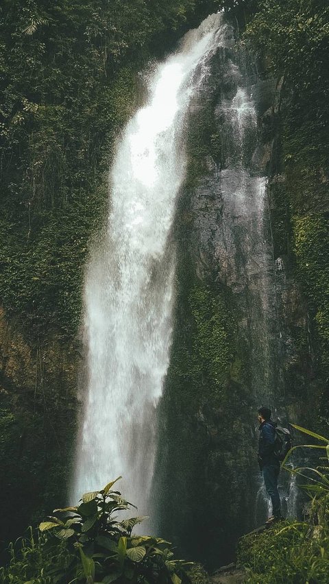 <b>Mengunjungi Air Terjun Putri Malu, Tingginya Mencapai 80 Meter dan Dikelilingi Alam yang Asri</b><br>