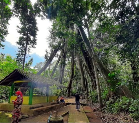 Di lokasi juga terdapat sebuah pohon besar bernama Pohon Nunuk. Dipercaya jika Pohon Nunuk merupakan gerbang kerajaan Talaga Manggung. Gerbang tersebut dijaga oleh para ikan yang merupakan para prajurit.