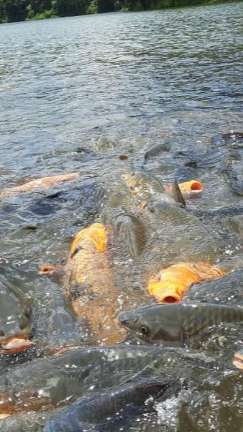 Kisah Situ Sangiang yang Pernah Hilang di Masa Silam, Punya Pemandangan Indah