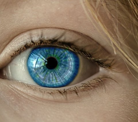 Can Blue Eyes See Better in the Dark? This is the Answer from Scientists