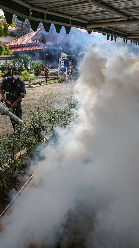 Bertambah 81, Kematian Akibat DBD di RI Capai 621 Kasus