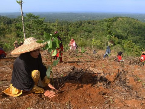 Telkom Dukung Pemulihan 82,1 Ha Lahan Kritis Melalui Reboisasi 33.800 Bibit Pohon