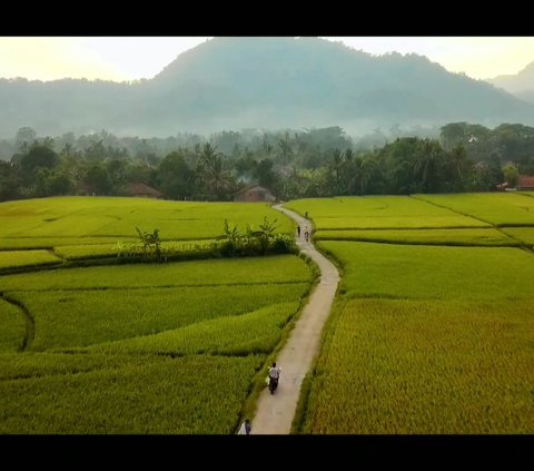 Pemandangan Desa Bantarkuning di Bogor Ini Viral di Media Sosial, Hamparan Sawah dan Gunungnya Menyejukkan Mata