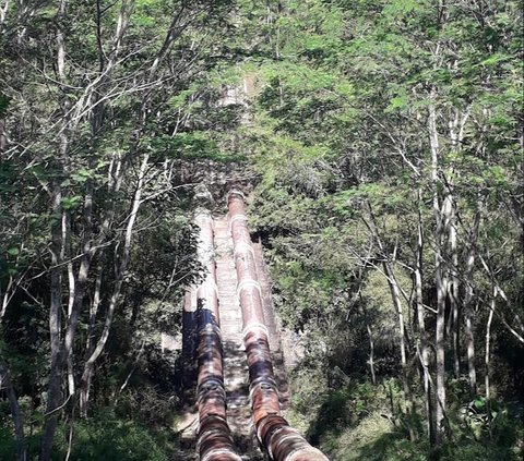 Potret Megah 3 Jembatan Air di Jawa Timur, Berusia Ratusan Tahun Masih Berfungsi hingga Kini