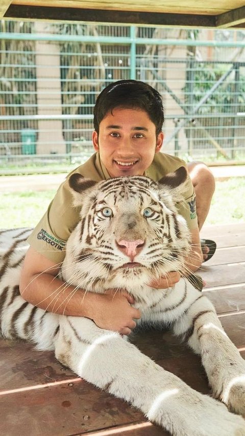 Detik-detik Alshad Ahmad Jatuh saat Main Bersama Harimau Benggala, Ungkap Sensasi Digigit Harimau<br>